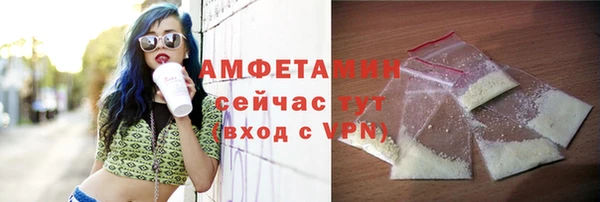 spice Богородицк