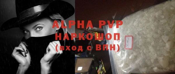 spice Богородицк