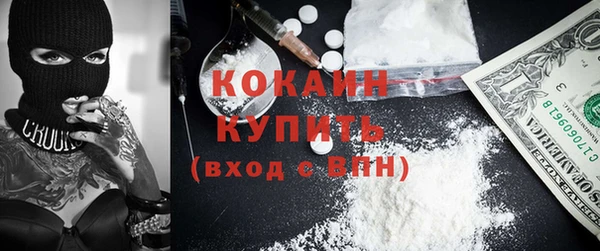 spice Богданович