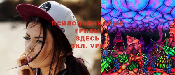 spice Богородицк