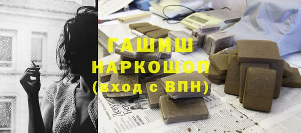 spice Богородицк