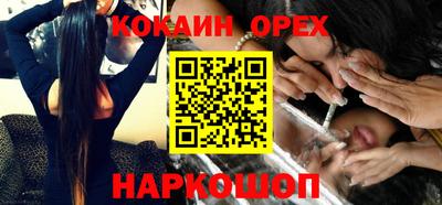 альфа пвп Новодвинск